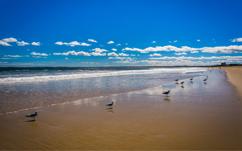 Old Orchard Beach
