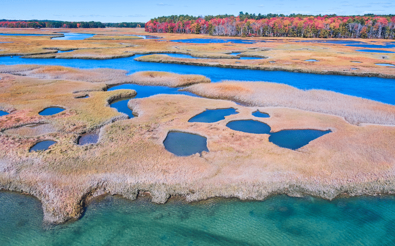 Scarborough Marsh