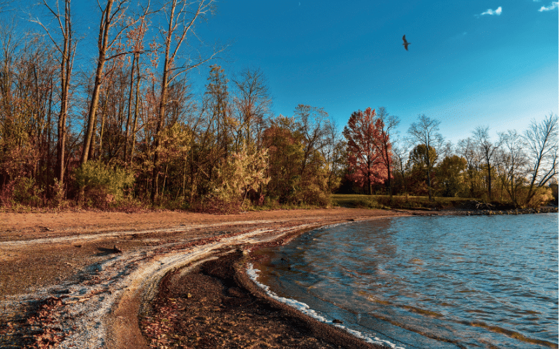 Alum Creek Lake