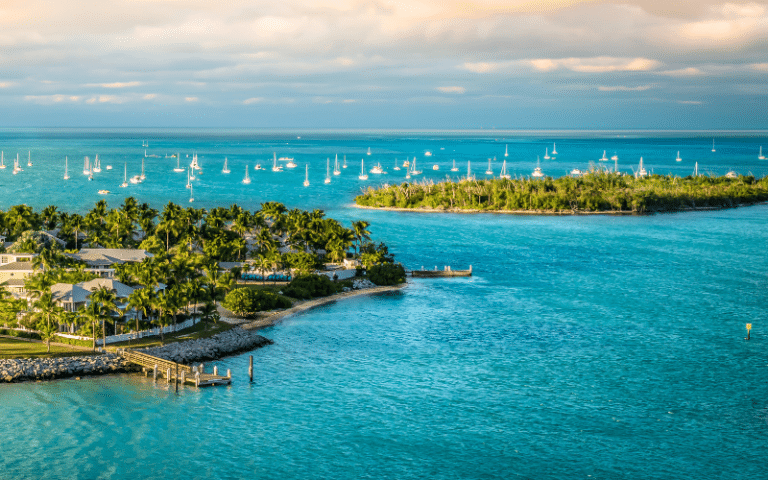 Best Places to Paddle Board in Florida