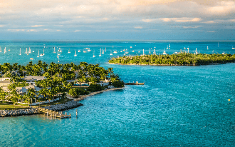 Best Places to Paddle Board in Florida