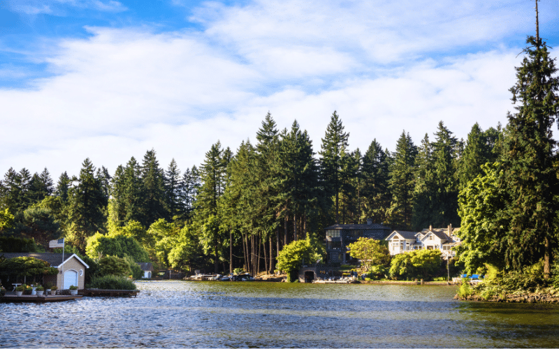 Best Places to Paddle Board in Lake Oswego