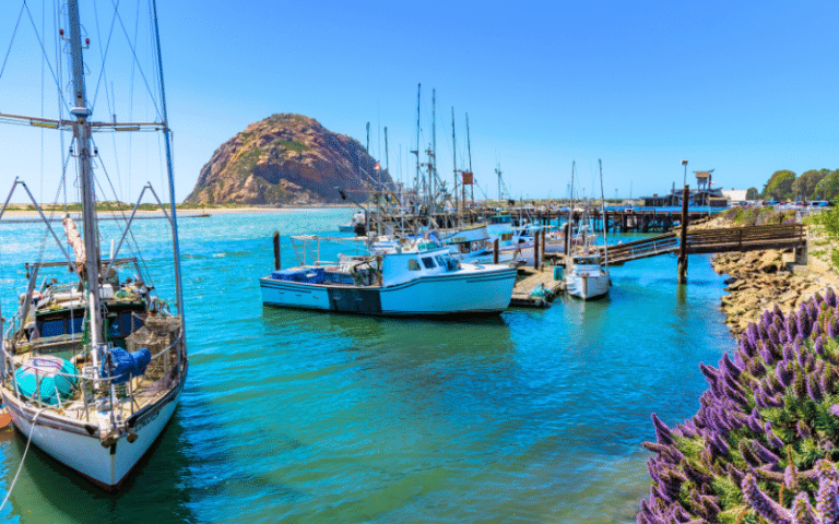 Best Places to Paddle Board in Morro Bay