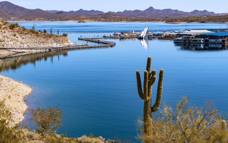 Best Places to Paddle Board in Saguaro Lake