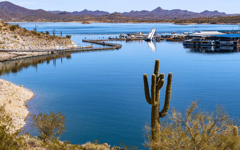 Best Places to Paddle Board in Saguaro Lake