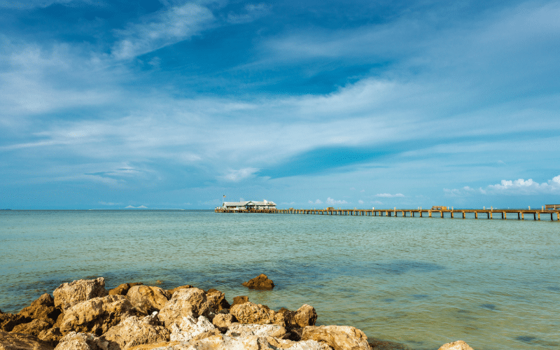 Best Places to Paddle Board on Anna Maria Island, Florida