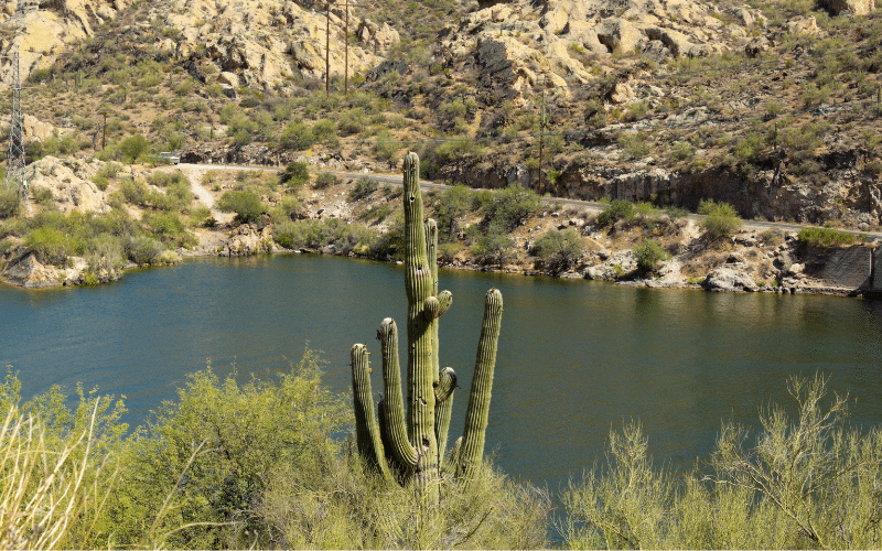 Canyon Lake