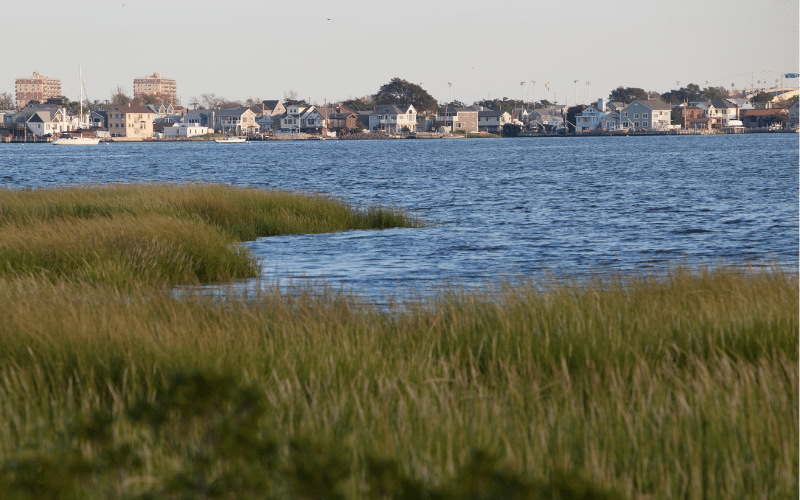 Jamaica Bay