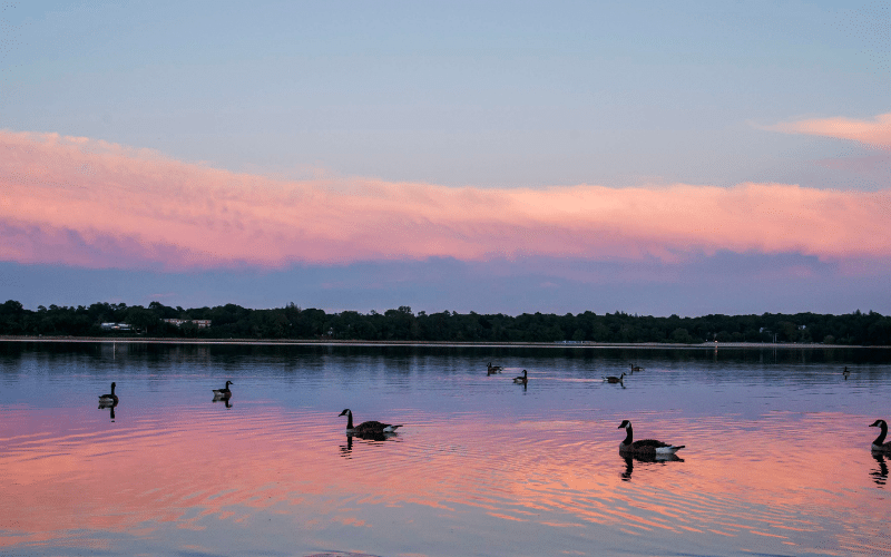 Lake Ronkonkoma