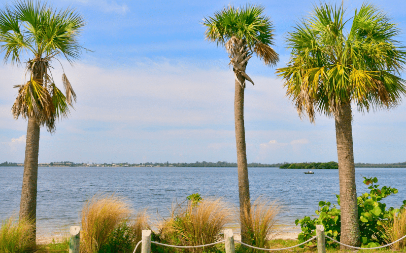 Palma Sola Bay