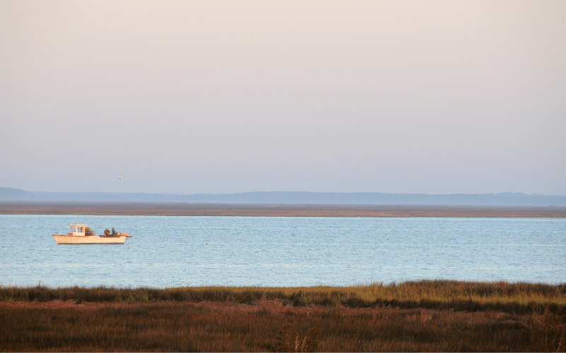 Pamlico Sound