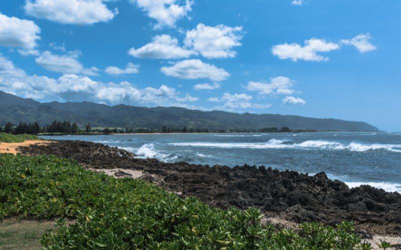 Waialua Bay