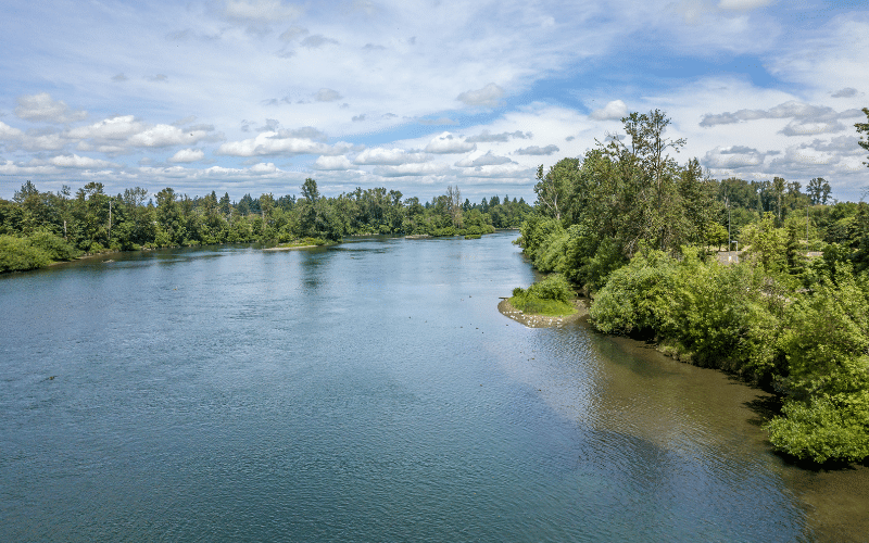 Willamette River