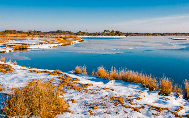 Assateague Island National Seashore