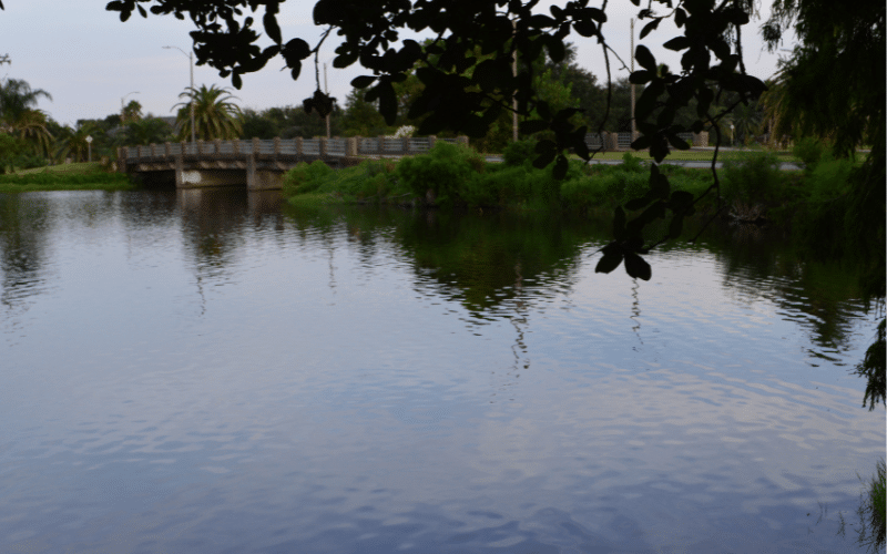 Bayou St. John