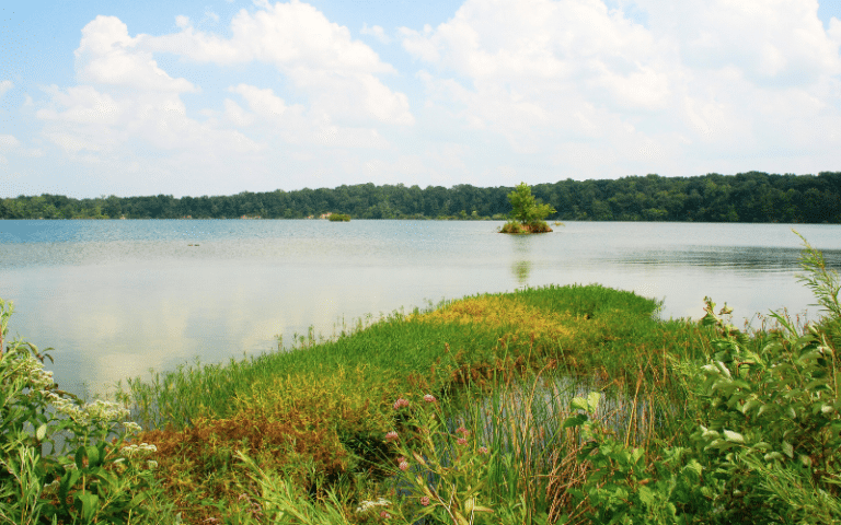 Best Places to Paddle Board in Indiana