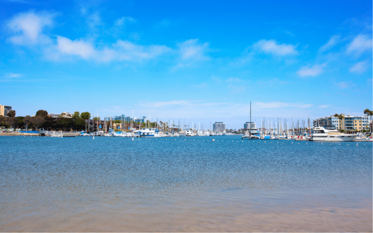 Best Places to Paddle Board in Los Angeles, CA
