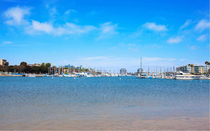 Best Places to Paddle Board in Los Angeles, CA