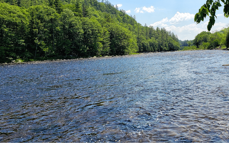 Best Places to Paddle Board in NYC