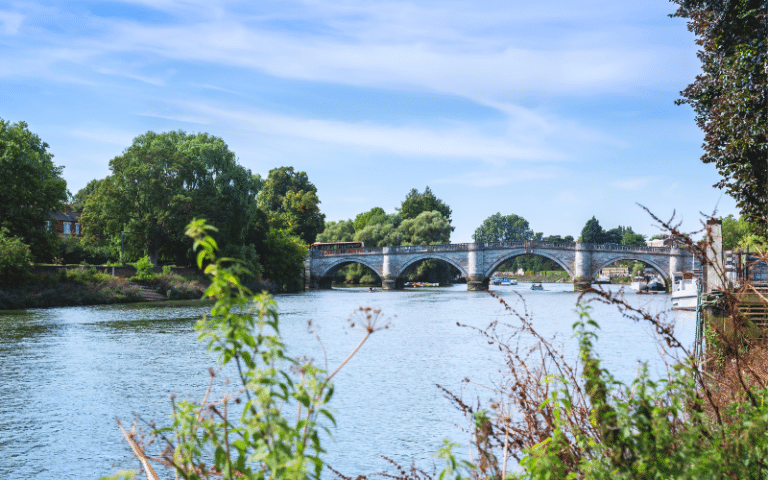 Best Places to Paddle Board in Richmond