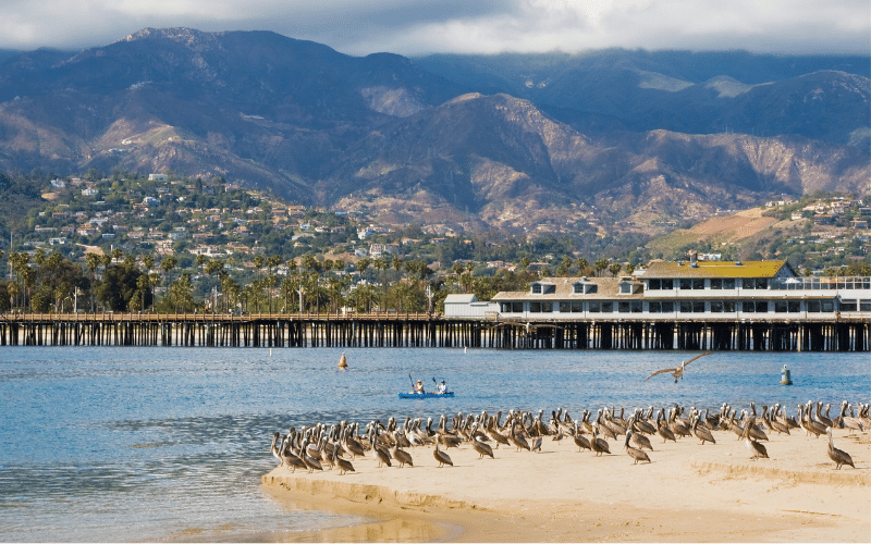 Best Places to Paddle Board in Santa Barbara