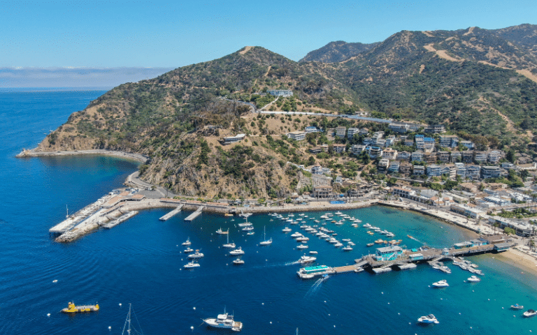 Best Places to Paddle Board on Santa Catalina Island