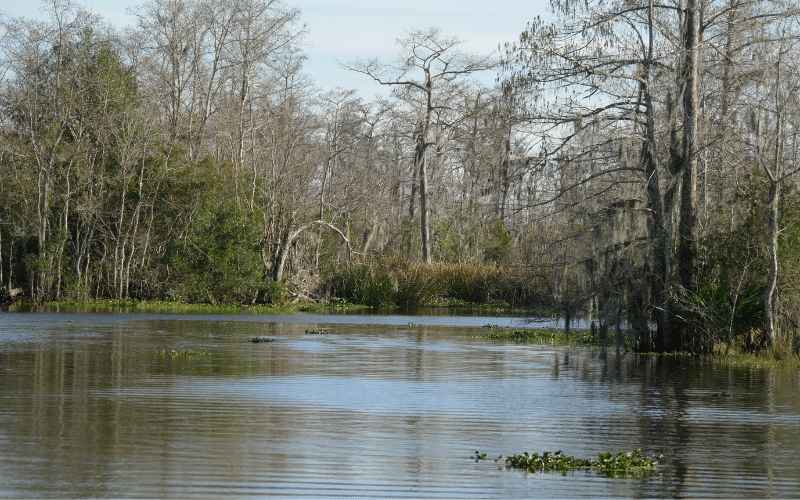 Black Bayou Lake
