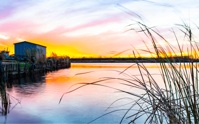 Cane Bayou