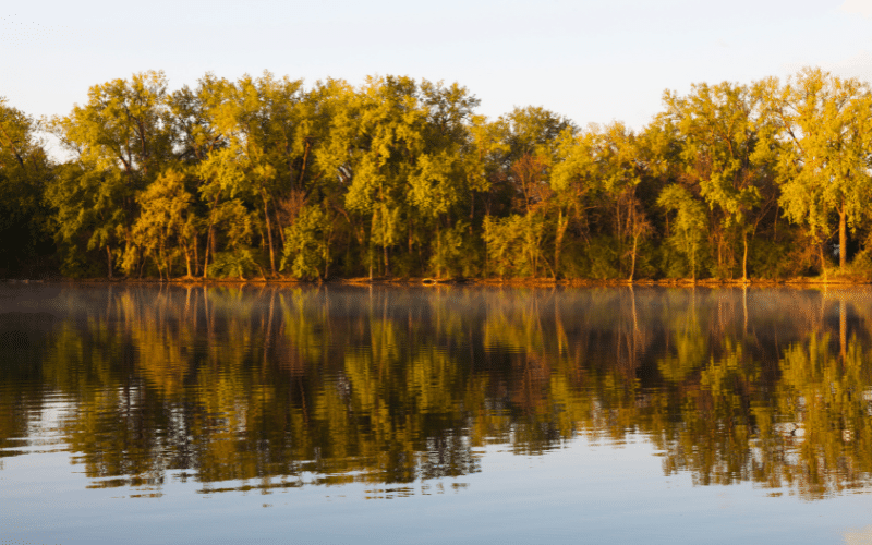 Cedar Lake