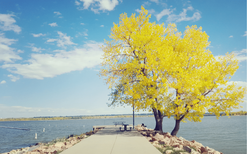 Cherry Creek Reservoir