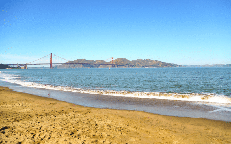 Crissy Field