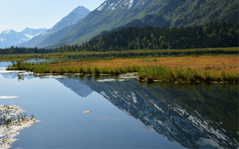 Kenai River