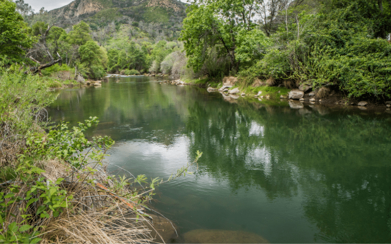 Putah Creek