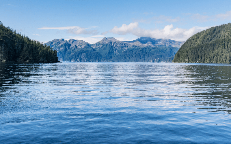 Resurrection Bay