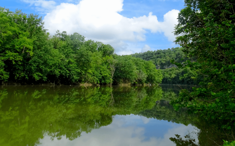 Rough River Lake