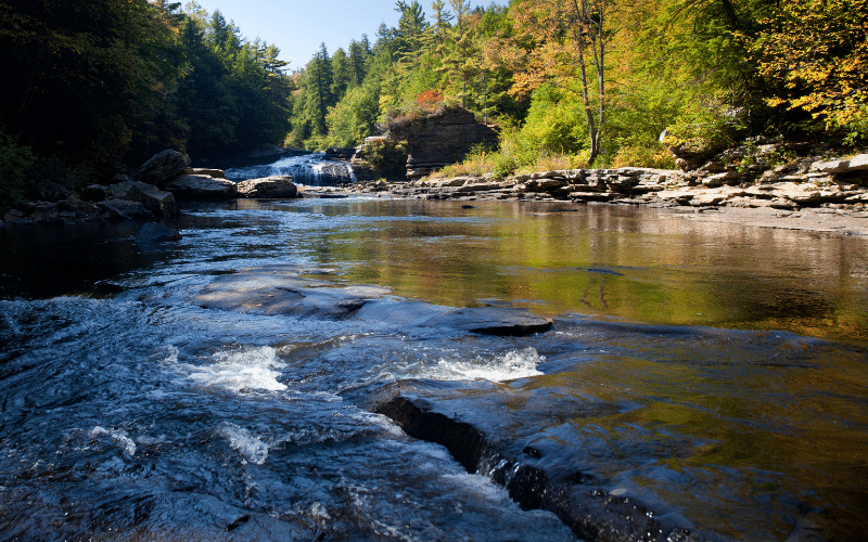Swallow Falls State Park