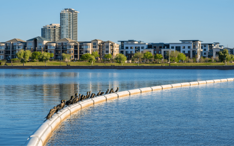 Tempe Town Lake