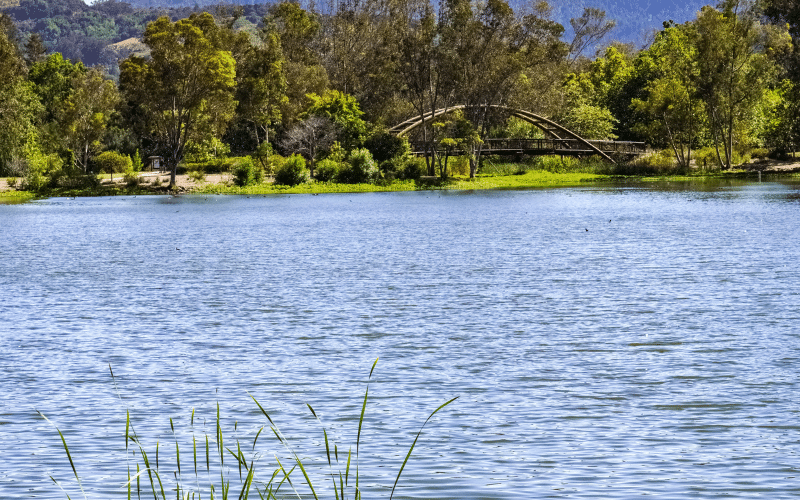 Vasona Lake