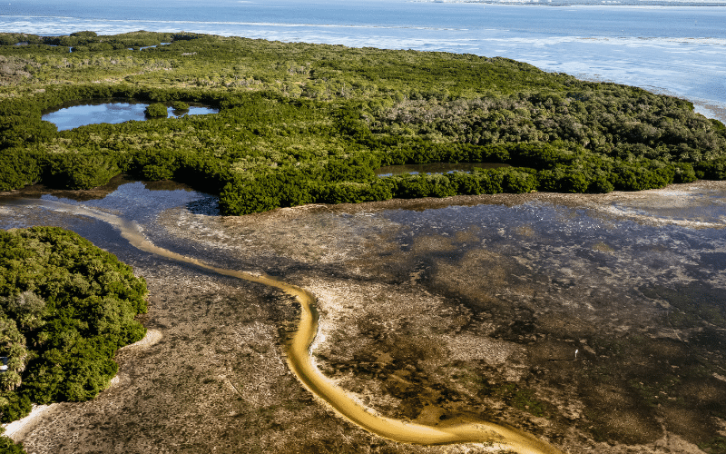 Weedon Island Preserve