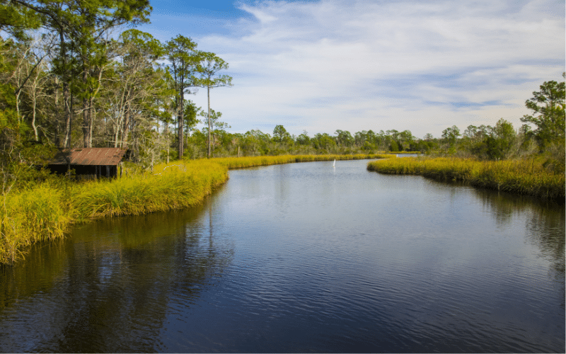 Bayou Bartholomew