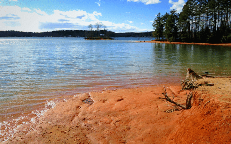 Best Places to Paddle Board in Lake Norman