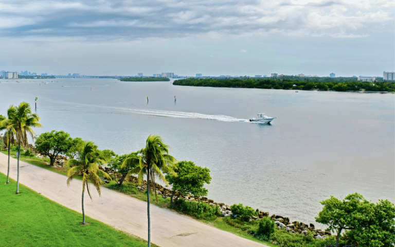 Best Places to Paddle Board in Miami