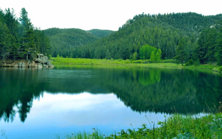 Best Places to Paddle Board in Palmer Lake