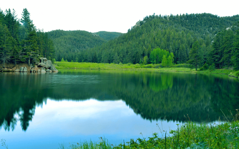 Best Places to Paddle Board in Palmer Lake