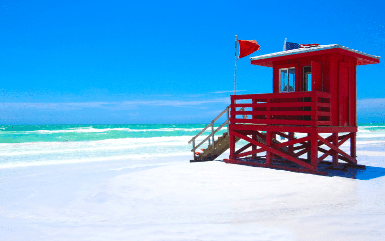 Best Places to Paddle Board in Siesta Key