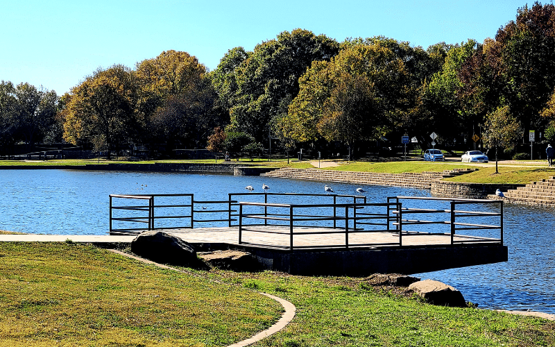 Best Places to Paddle Board in White Rock Lake