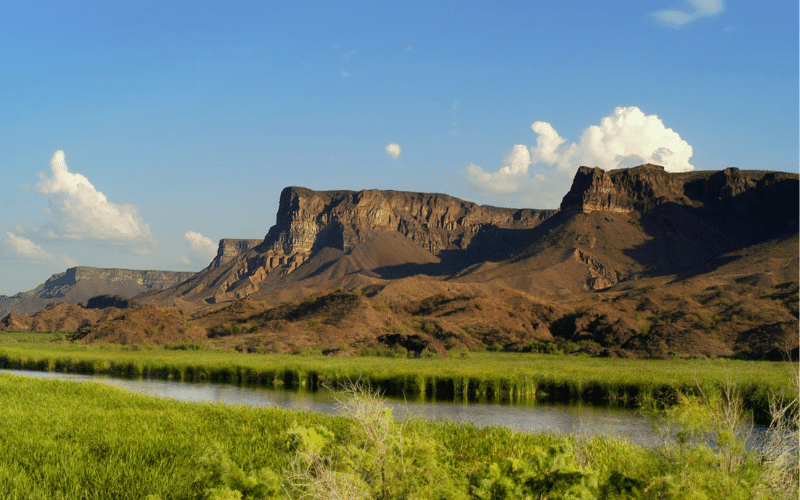 Bill Williams River National Wildlife Refuge