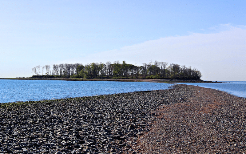 Charles Island