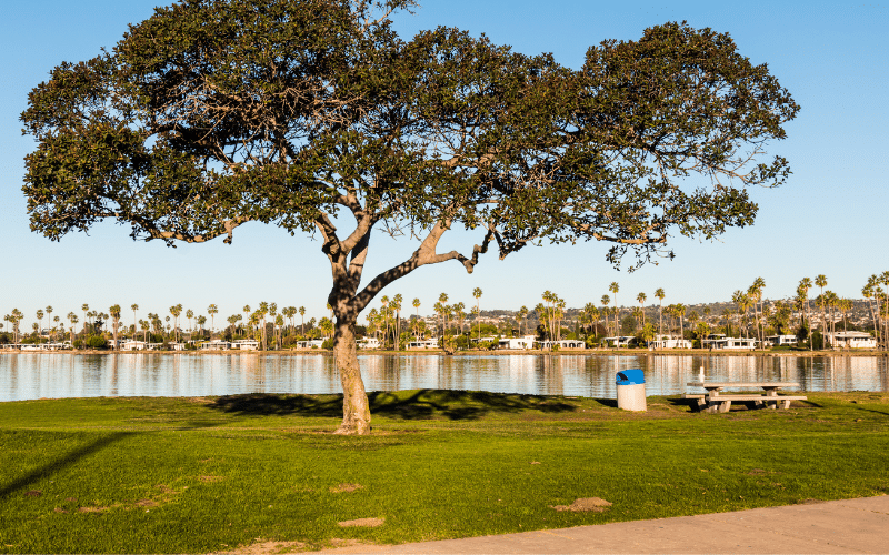 De Anza Cove