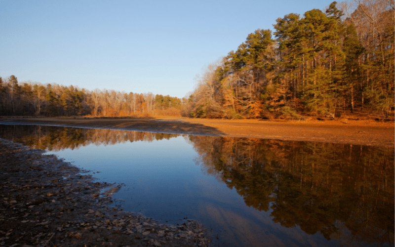 Jetton Park